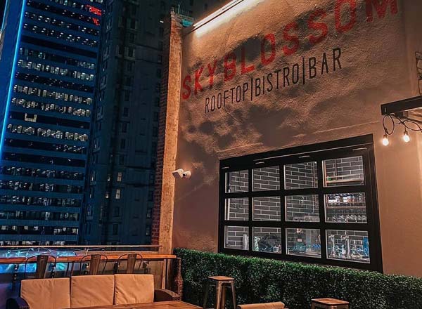 Sky Blossom - Rooftop bar in Dallas | The Rooftop Guide