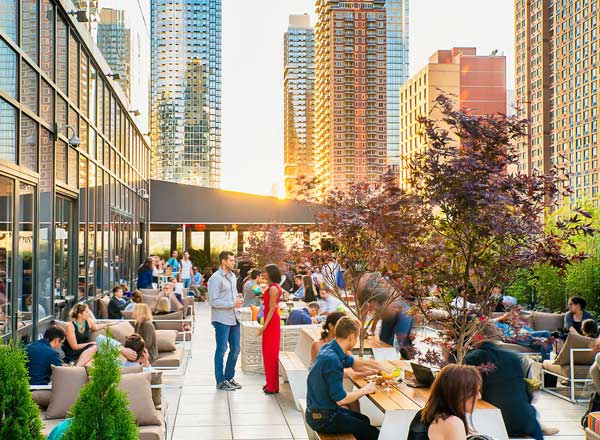 Rooftop bar Social Drink & Food in NYC