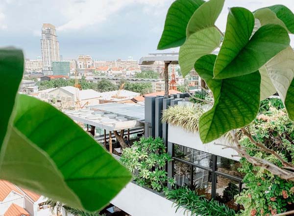 Rooftop bar Vehaa Restaurant & Bar in Phnom Penh