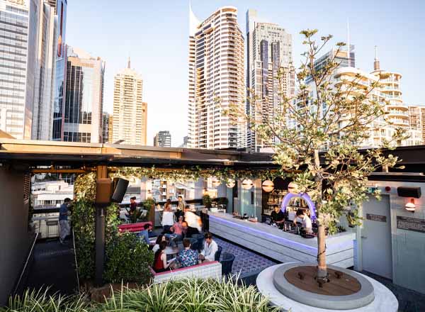 Rooftop bar Above 319 in Sydney